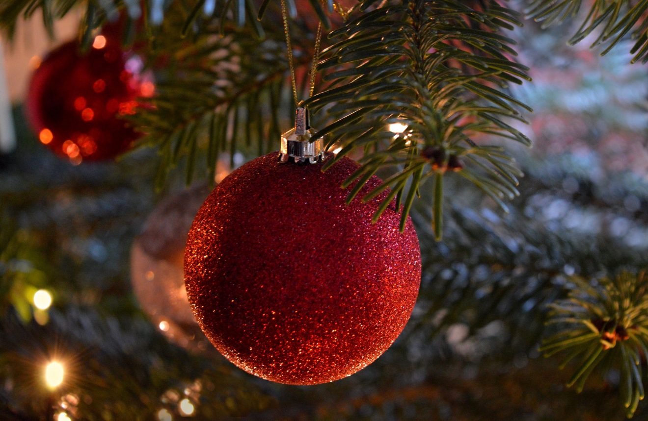 Members Holiday Choice Exhibition