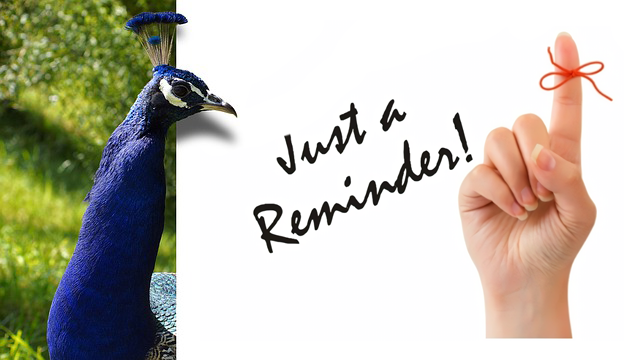 Robeson Art Guild Reminder