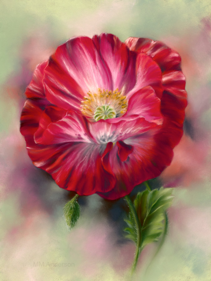 Third Place Winner "Red Poppy" - Pastel by MM (Linda) Anderson