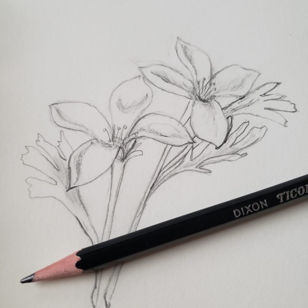 Mindful Drawing Class