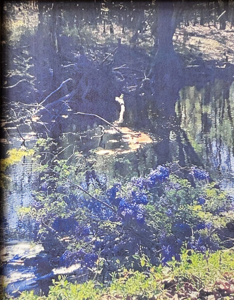 First Prize Bobbie Britt for "Sunday Afternoon on the Lumber River" - Robeson Art Guild Summer Living 2026